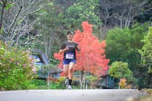 BIB: 8158
                            <button type="button" onclick="openModal(19238932)" class="btn btn-primary btn-sm float-right btn-popup" data-toggle="modal" data-target=".modal-high-quality">
                        <i class="fas fa-shopping-cart"></i> Add to Cart
                    </button>
                                            <button type="button" onclick="isThisMe(19238932, true)" class="btn btn-success btn-sm float-right btn-popup btn-isme hidden" data-toggle="tooltip" data-placement="bottom" title="นี่คือรูปของคุณใช่ไหม คลิกที่นี่เพื่อเอาเข้าอัลบั้ม">
                        <i class="fas fa-plus"></i> Add to album
                    </button>
                    <button type="button" onclick="isThisMe(19238932, false)" class="btn btn-warning btn-sm float-right btn-popup btn-isnotme hidden">
                        <i class="fas fa-ban"></i> Remove from album
                    </button>